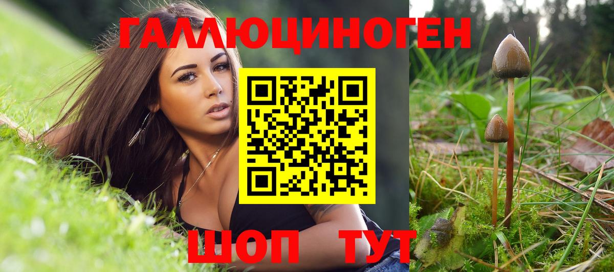 Галлюциногенные грибы Magic Shrooms Бирск
